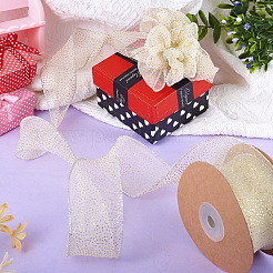 10 ярд блестящей полиэфирной ленты с блестками&nbsp;OCOR-TAC0034-02A