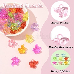 100шт прозрачные акриловые подвески&nbsp;TACR-YW0003-27