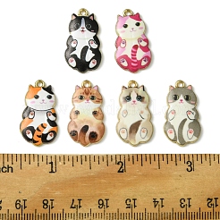 12шт 6 цвета сплава эмалевые подвески&nbsp;FIND-FS0003-02