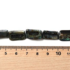 Нити бусин из натуральной раковины морского ушка/ракушки пауа&nbsp;BSHE-D300-01B