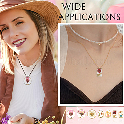 12 шт.&nbsp;RESI-SC0036-60B