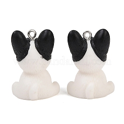 Подвески из непрозрачной смолы&nbsp;LS-RESI-XCP0002-36