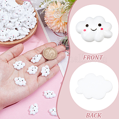 Кабошоны из непрозрачной смолы&nbsp;RESI-NB0002-13