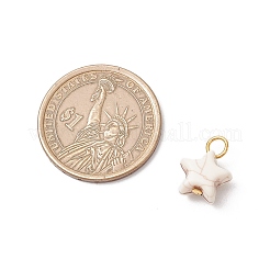 Хрустящие непрозрачные акриловые подвески&nbsp;PALLOY-JF03924-02