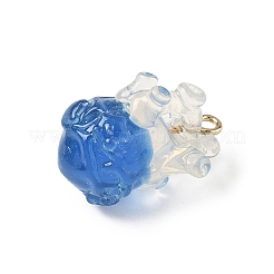 Прозрачные смоляные подвески&nbsp;LS-CRES-D306-10G-B