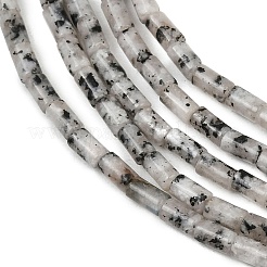 Натуральный шрам яшмы&nbsp;G-P600-B11-01