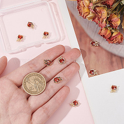 10 шт. подвески из кубического циркония&nbsp;KK-BC0012-65