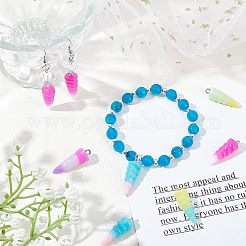 24шт 6 цвета подвески из смолы&nbsp;RESI-NB0001-70