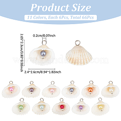 66 шт. 11 стиля натуральных ракушек большие подвески&nbsp;PALLOY-MA00003