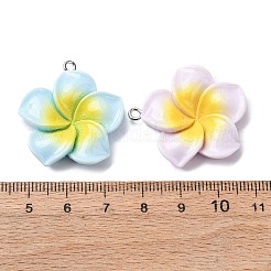 Подвески из непрозрачной смолы&nbsp;FIND-Z107-03P