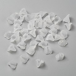 Прозрачные акриловые бусины&nbsp;X-PL622-9