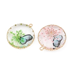 Латунь стекло кулоны&nbsp;FIND-G101-06G