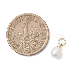 Натуральные культивированные пресноводные жемчужные рисовые подвески&nbsp;PALLOY-JF04830