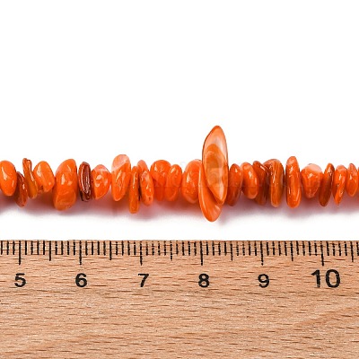 Нити бусин из натуральных пресноводных ракушек&nbsp;BSHE-I016-01F-1