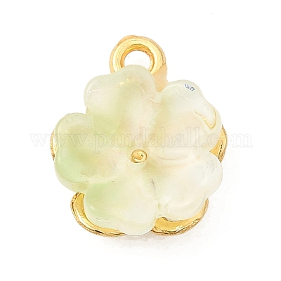 Сплав стекла амулеты&nbsp;FIND-C079-05G-02-1