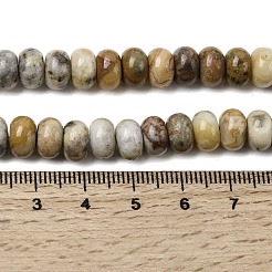 Природные сумасшедший агат бисер нитей&nbsp;G-A280-A30-02