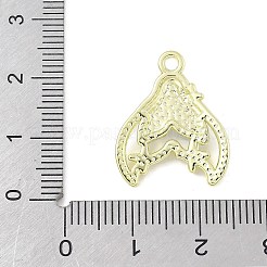 Подвески из цинкового сплава&nbsp;FIND-C067-01A-G