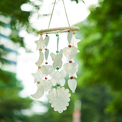 50 шт. 5 стиля кабошонов из натуральной ракушки с кружевной кромкой&nbsp;SHEL-TA0001-17