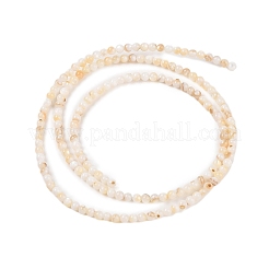 Нити бусин из натуральных пресноводных ракушек&nbsp;X-SHEL-T011-02-4mm