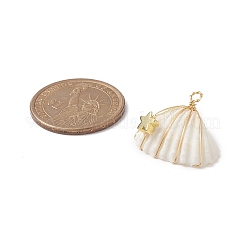 Подвески из медной проволоки с натуральной спиралью&nbsp;PALLOY-TA00016