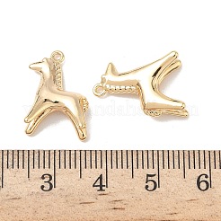 Латунные подвески&nbsp;KK-L254-09G