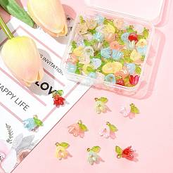 50шт прозрачные акриловые подвески&nbsp;PALLOY-FS00043-03