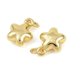 Латунные подвески&nbsp;KK-D218-11G-02