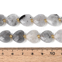 Природные лабрадорита бисер нитей&nbsp;G-P592-B14-01