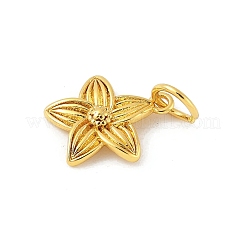 Латунь подвески&nbsp;KK-Z107-05G-02