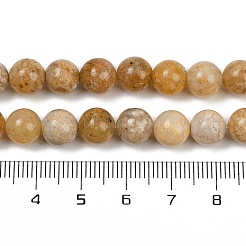 Природный агат бисер нитей&nbsp;G-U026-A07-8mm