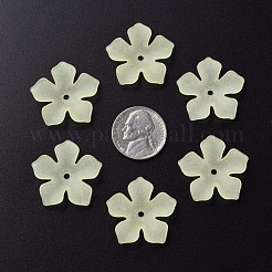 Прозрачные акриловые бусины&nbsp;MACR-S373-119-D03