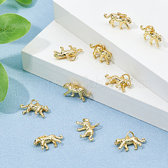 Латунные подвески с покрытием 12шт&nbsp;KK-HS0001-27