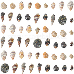 150 г 5 вида натуральных смешанных ракушечных бусин&nbsp;SSHEL-SC0001-50