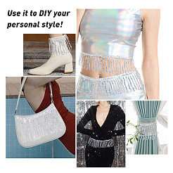 Вышивка бисером блестки полиэстер кисточка ленты&nbsp;SRIB-WH0023-01B