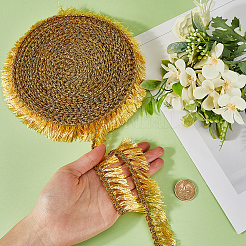 Кружевные ленты с кисточками из полиэстера&nbsp;DIY-WH0530-70B