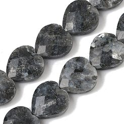 Натуральные нити бус из ларвикита&nbsp;G-A309-A18-01