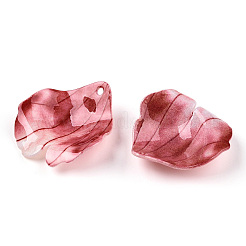 Непрозрачные акриловые подвески&nbsp;SACR-D007-01C-03