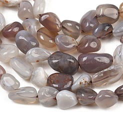 Природные Ботсвана агат самородки бусы пряди&nbsp;G-B170-A01