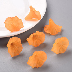 Прозрачные акриловые бусины&nbsp;BSF796-C19