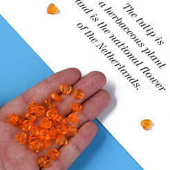 Прозрачные акриловые бусины&nbsp;MACR-S373-95-B16