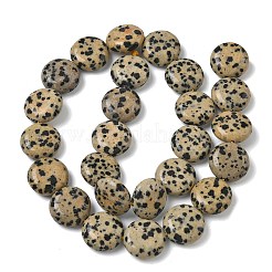 Природные яшмы далматин бисер нитей&nbsp;G-L648-B19-15mm