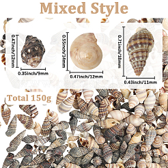 150 г 5 вида натуральных смешанных ракушечных бусин&nbsp;SSHEL-SC0001-50