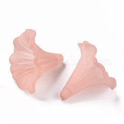 Прозрачные акриловые бусины&nbsp;BSF796-C11