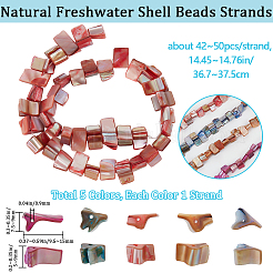 5 нить 5 цвета окрашенных натуральных пресноводных ракушек нити&nbsp;SHEL-BBC0001-13