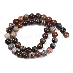 Натуральный окаменелого дерева нити круглый шарик&nbsp;G-F266-08-8mm