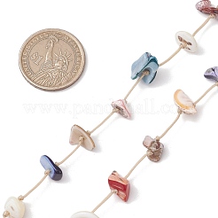 Подвесные украшения из натуральных ракушек&nbsp;HJEW-JM02969