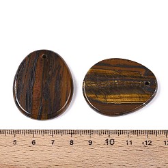 Природные тигр железа подвески&nbsp;G-N349-07B