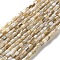 Natural Freshwater Shell Beads Strands, Column, 2.5~3x2.5~3mm, Hole: 0.9mm, about 117pcs/strand, 14.96''(38cm)
