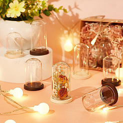 15 шт. мини стеклянный купол&nbsp;DJEW-BC0001-19