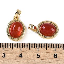 Подвески из натурального сердолика (окрашенные и нагретые)&nbsp;KK-P283-45G